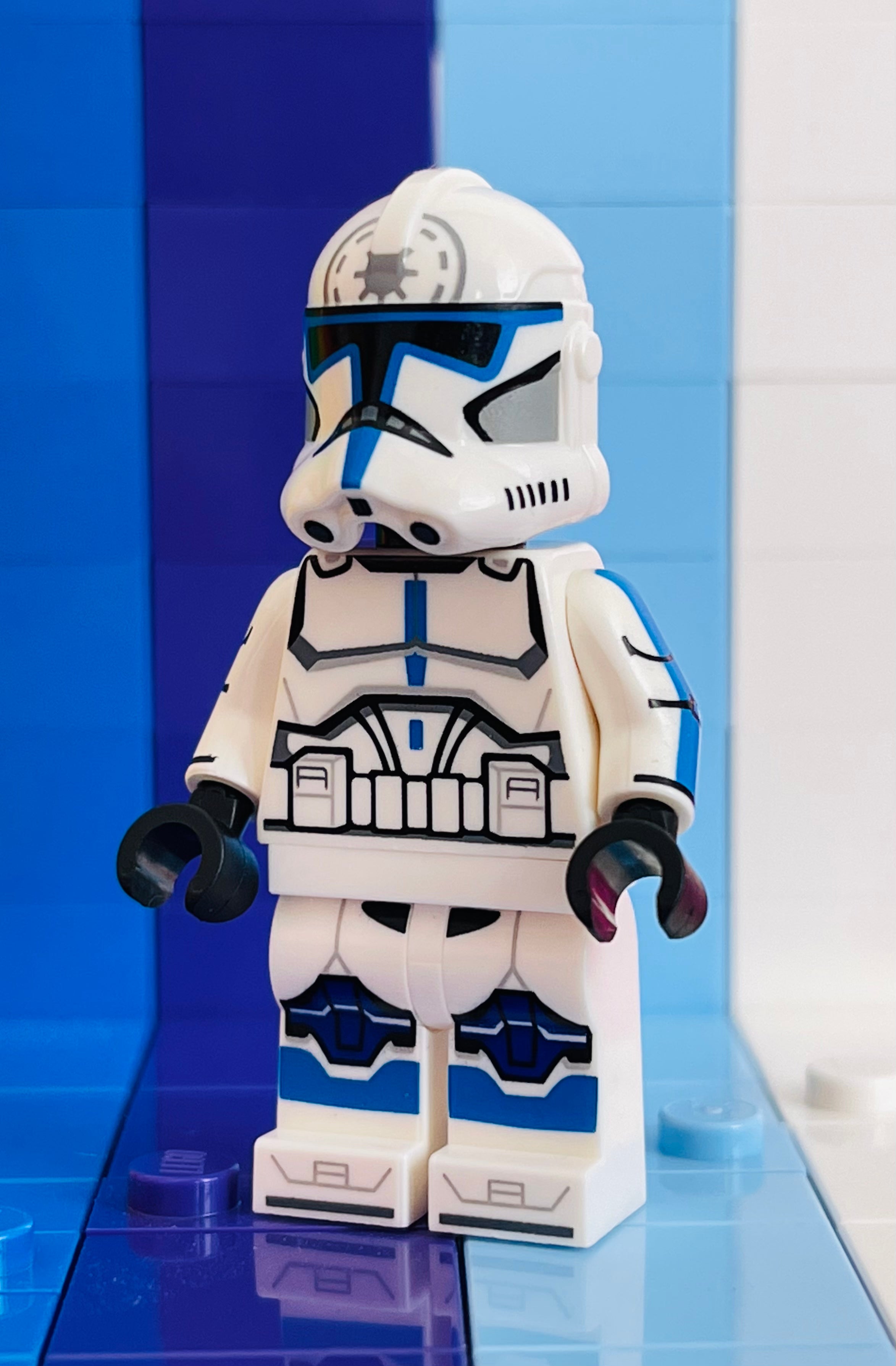 Assorted Blue Brothers 2023 & 2024 (Official Helm)