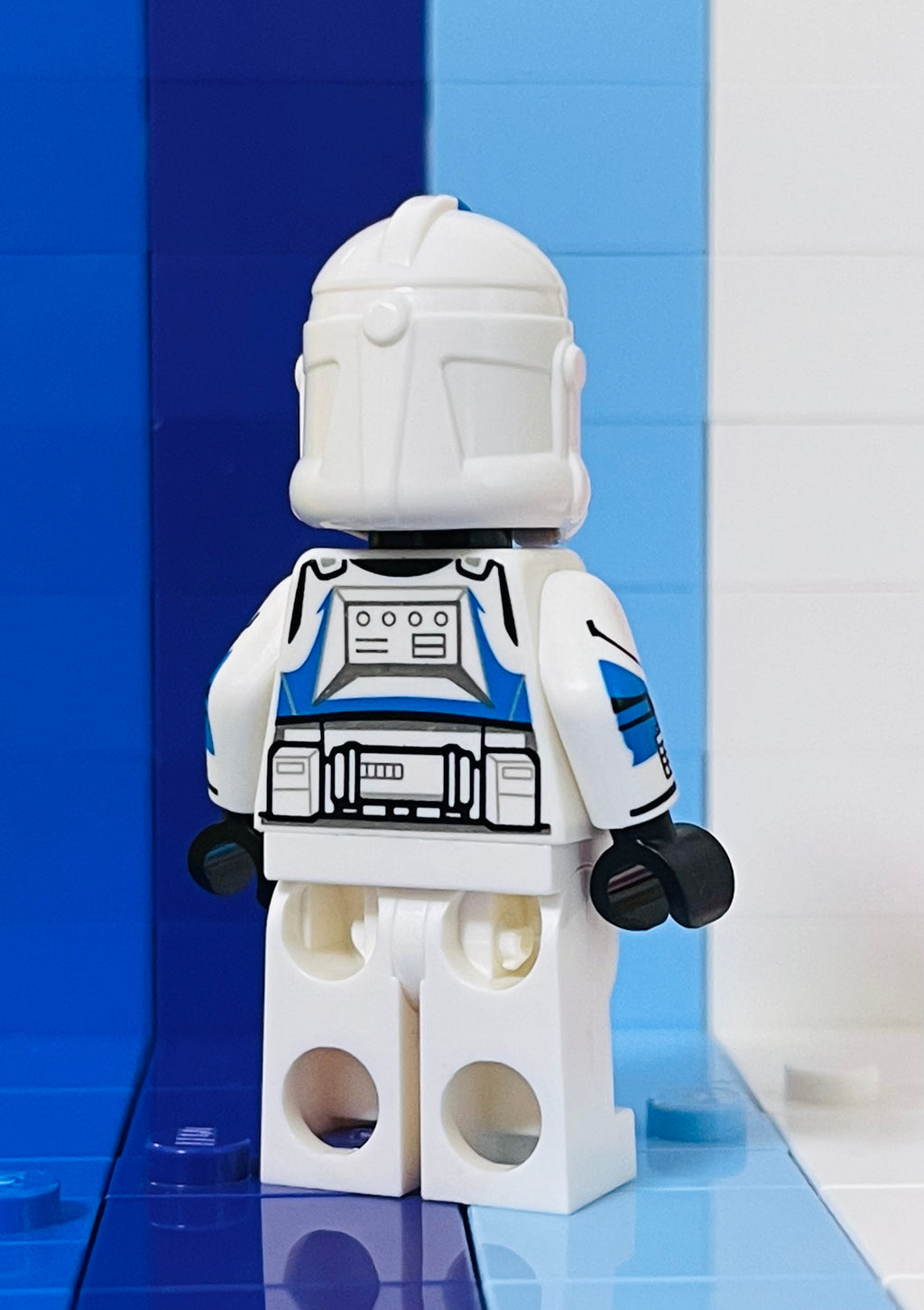 Assorted Blue Brothers 2023 & 2024 (Official Helm)