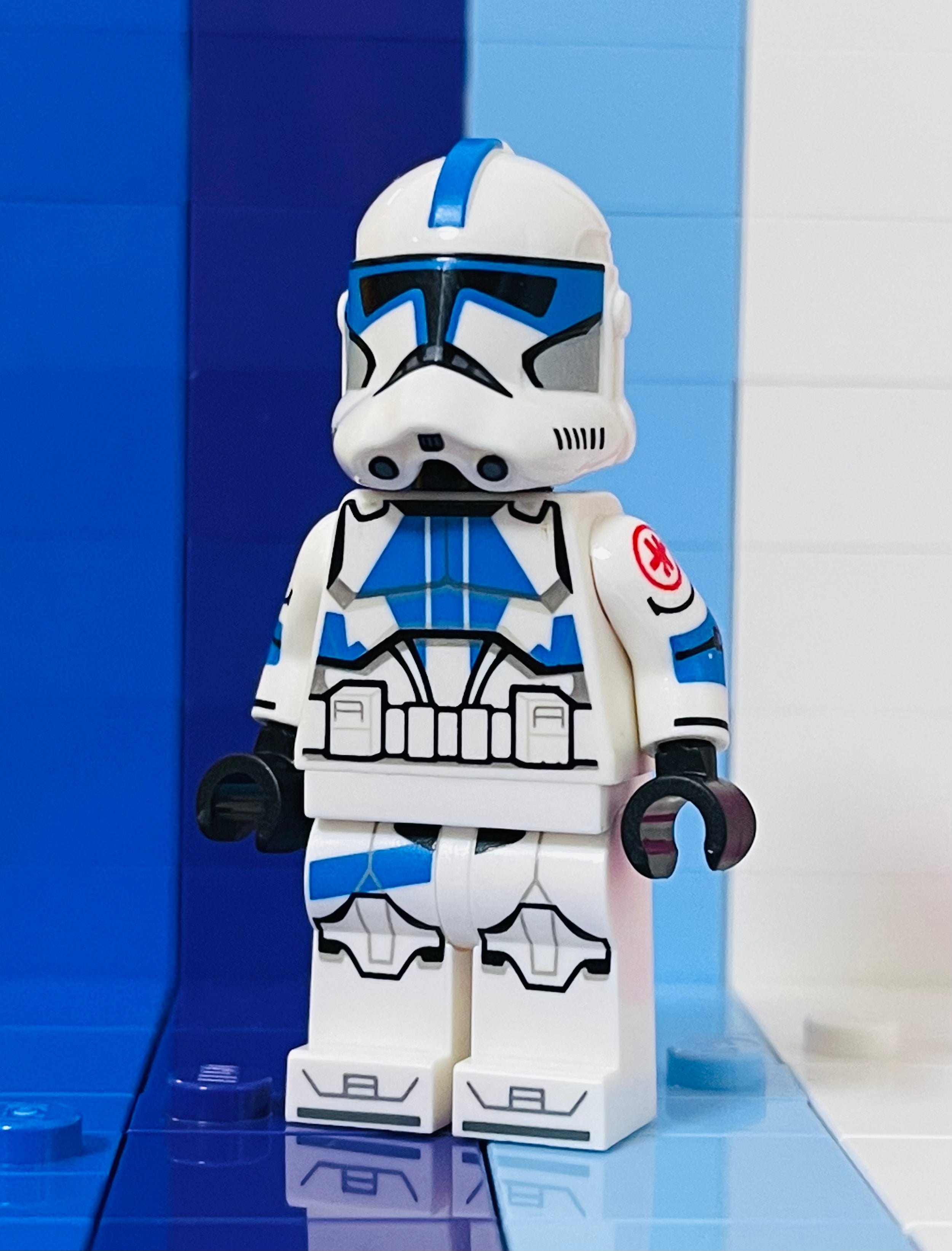 Assorted Blue Brothers 2023 & 2024 (Official Helm)